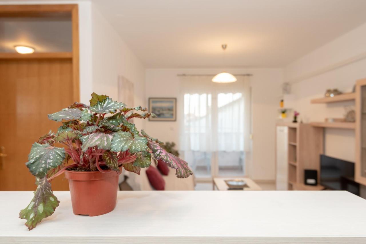 Apartman Valter زادار المظهر الخارجي الصورة